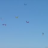 Penvins-festival -2006 -0381